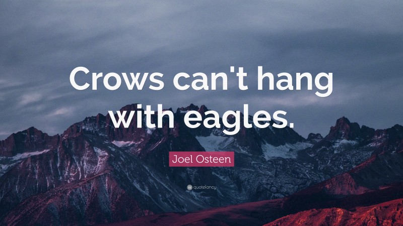 Joel Osteen Quote: “Crows can't hang with eagles.”