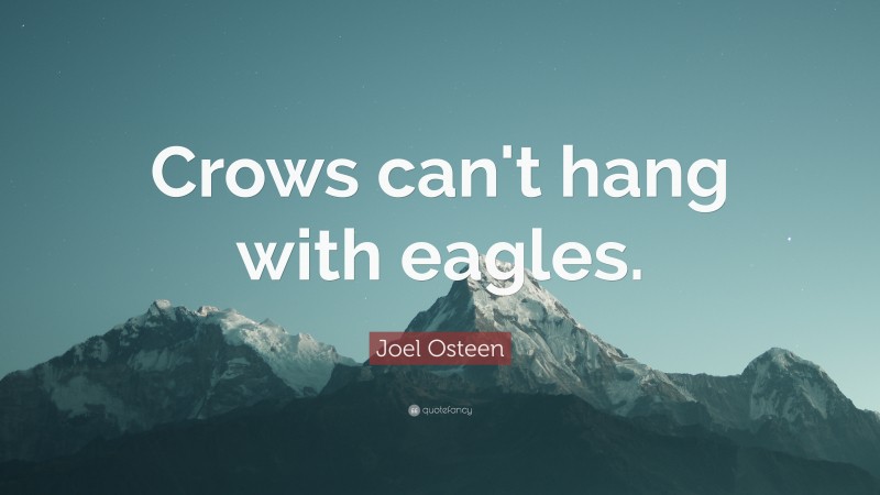 Joel Osteen Quote: “Crows can't hang with eagles.”