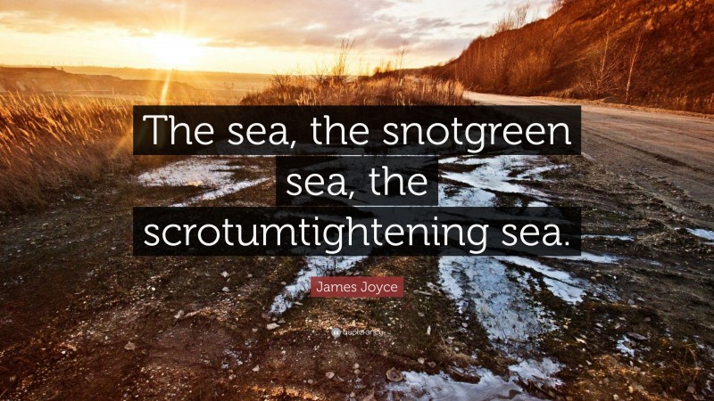 James Joyce Quote: “The sea, the snotgreen sea, the scrotumtightening sea.”