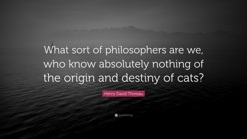 Henry David Thoreau Quote: “What sort of philosophers are we, who know absolutely nothing of the origin and destiny of cats?”