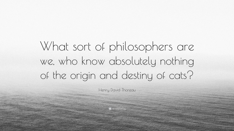 Henry David Thoreau Quote: “What sort of philosophers are we, who know absolutely nothing of the origin and destiny of cats?”