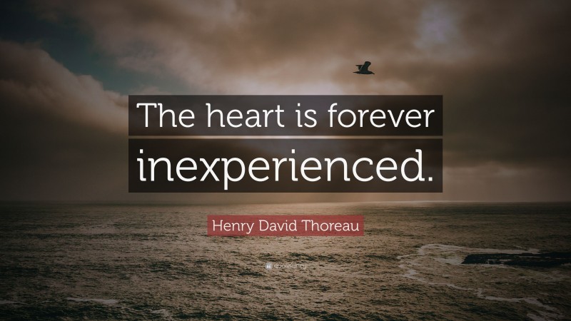 Henry David Thoreau Quote: “The heart is forever inexperienced.”