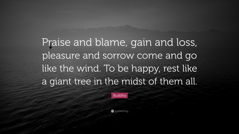 Buddha Quote: “Praise and blame, gain and loss, pleasure and sorrow come and go like the wind. To be happy, rest like a giant tree in the midst of them all.”