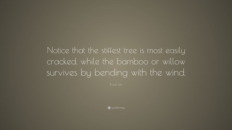 Bruce Lee Quote: “Notice that the stiffest tree is most easily cracked, while the bamboo or willow survives by bending with the wind.”