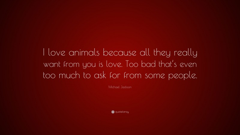 Michael Jackson Quote: “I love animals because all they really want from you is love. Too bad that’s even too much to ask for from some people.”