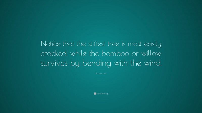 Bruce Lee Quote: “Notice that the stiffest tree is most easily cracked, while the bamboo or willow survives by bending with the wind.”