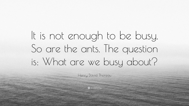 Henry David Thoreau Quote: “It is not enough to be busy. So are the ants. The question is: What are we busy about?”