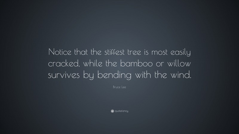 Bruce Lee Quote: “Notice that the stiffest tree is most easily cracked, while the bamboo or willow survives by bending with the wind.”