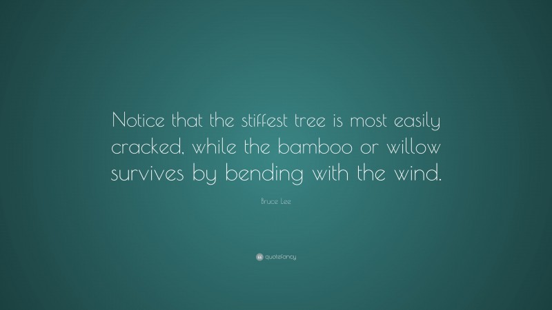 Bruce Lee Quote: “Notice that the stiffest tree is most easily cracked, while the bamboo or willow survives by bending with the wind.”