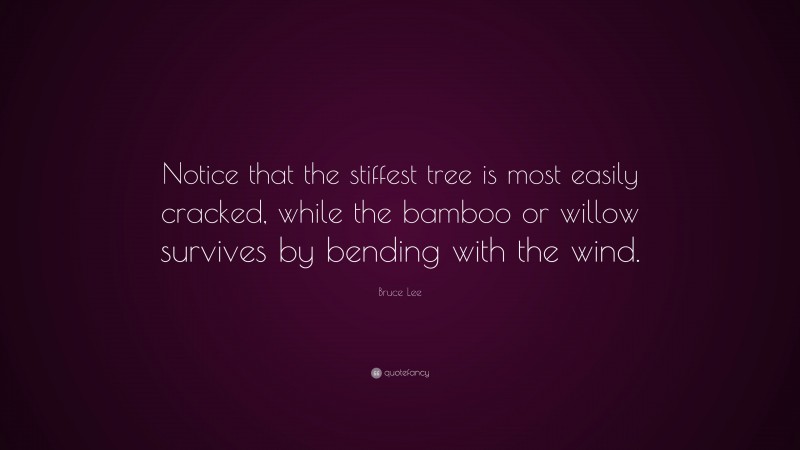 Bruce Lee Quote: “Notice that the stiffest tree is most easily cracked, while the bamboo or willow survives by bending with the wind.”