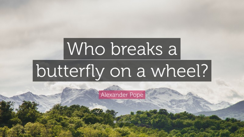 Alexander Pope Quote: “Who breaks a butterfly on a wheel?”