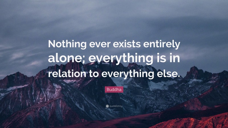 Buddha Quote: “Nothing ever exists entirely alone; everything is in relation to everything else.”