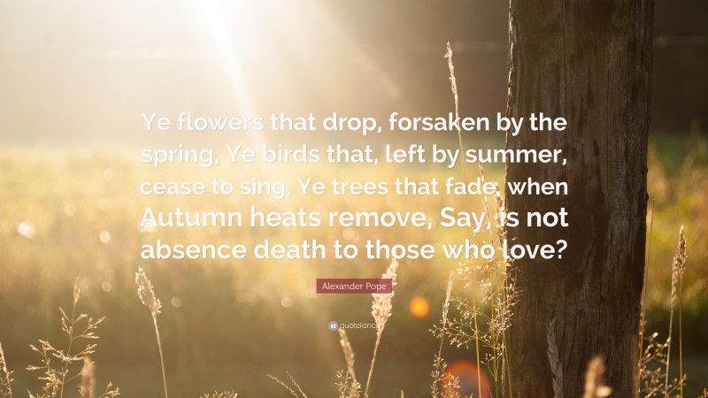 Alexander Pope Quote: “Ye flowers that drop, forsaken by the spring, Ye birds that, left by summer, cease to sing, Ye trees that fade, when Autumn heats remove, Say, is not absence death to those who love?”