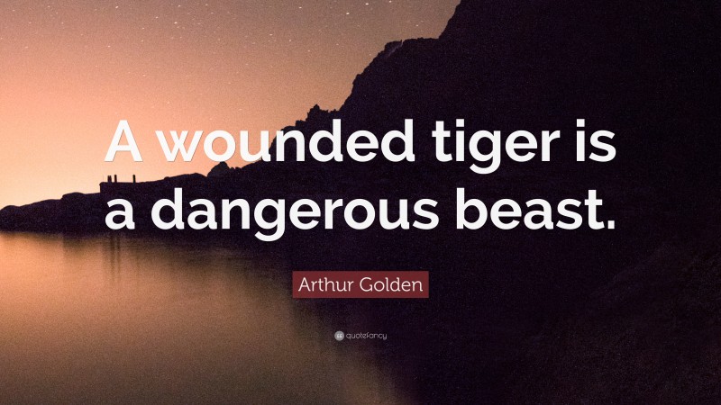 Arthur Golden Quote: “A wounded tiger is a dangerous beast.”