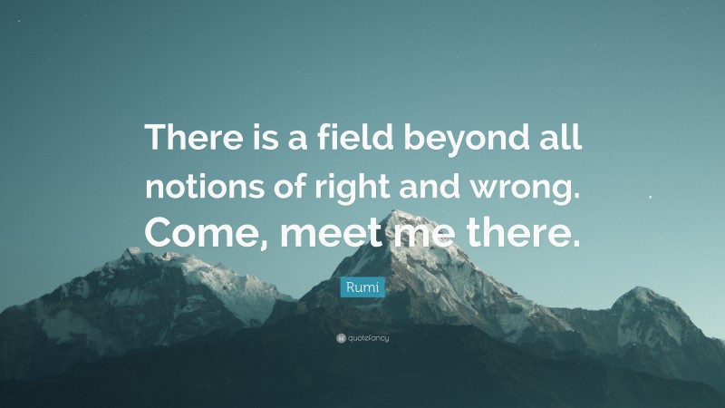 Rumi Quote: “There is a field beyond all notions of right and wrong. Come, meet me there.”