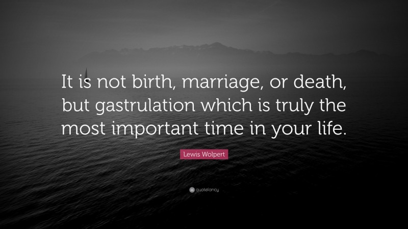 Lewis Wolpert Quote: “It is not birth, marriage, or death, but gastrulation which is truly the most important time in your life.”