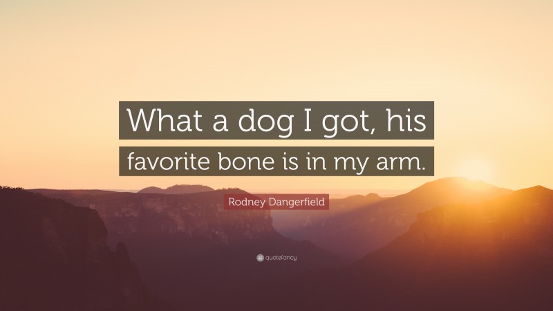 Rodney Dangerfield Quote: “What a dog I got, his favorite bone is in my arm.”