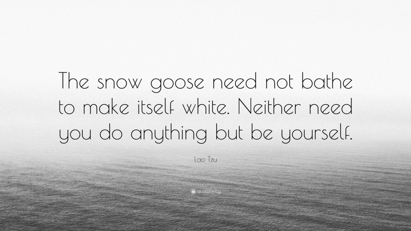 Lao Tzu Quote: “The snow goose need not bathe to make itself white. Neither need you do anything but be yourself.”