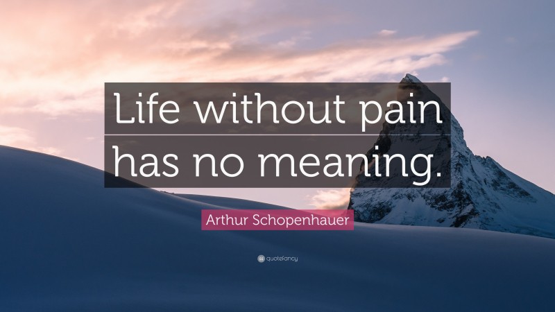 Arthur Schopenhauer Quote: “Life without pain has no meaning.”