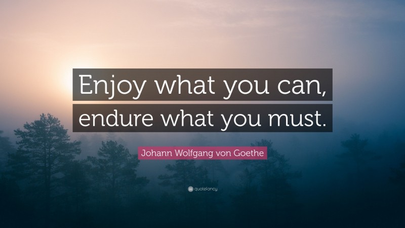 Johann Wolfgang von Goethe Quote: “Enjoy what you can, endure what you must.”