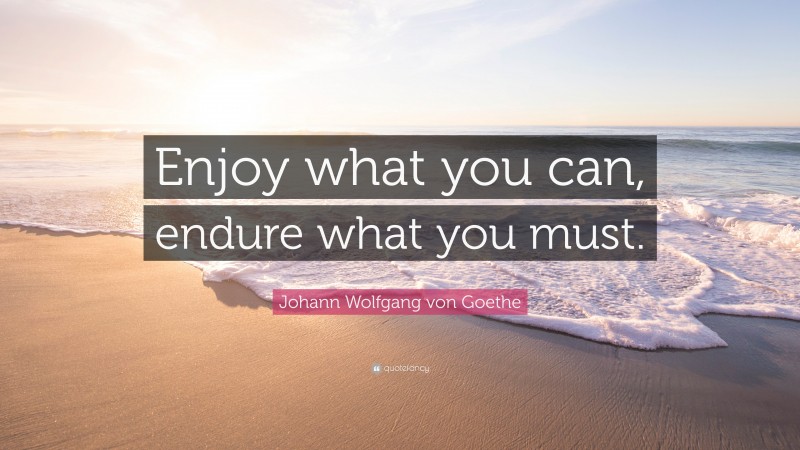 Johann Wolfgang von Goethe Quote: “Enjoy what you can, endure what you must.”