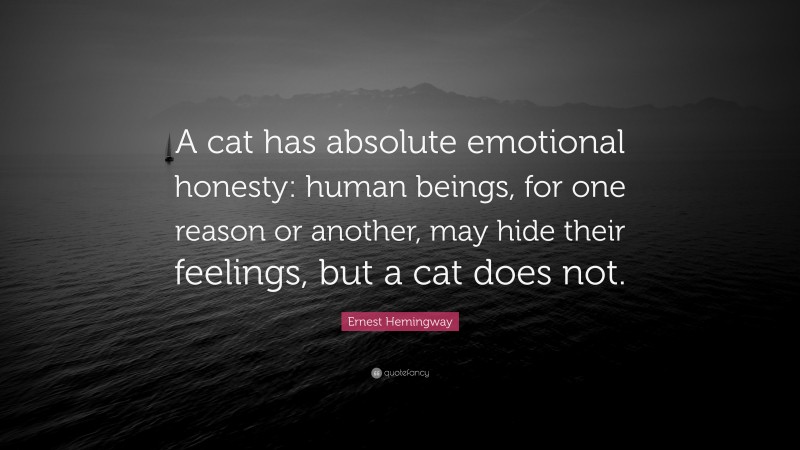 Ernest Hemingway Quote: “A cat has absolute emotional honesty: human beings, for one reason or another, may hide their feelings, but a cat does not.”