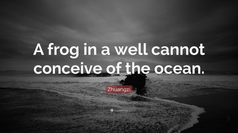Zhuangzi Quote: “A frog in a well cannot conceive of the ocean.”