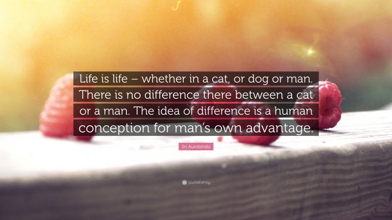 Sri Aurobindo Quote: “Life is life – whether in a cat, or dog or man. There is no difference there between a cat or a man. The idea of difference is a human conception for man’s own advantage.”