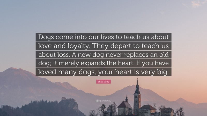 Erica Jong Quote: “Dogs come into our lives to teach us about love and loyalty. They depart to teach us about loss. A new dog never replaces an old dog; it merely expands the heart. If you have loved many dogs, your heart is very big.”