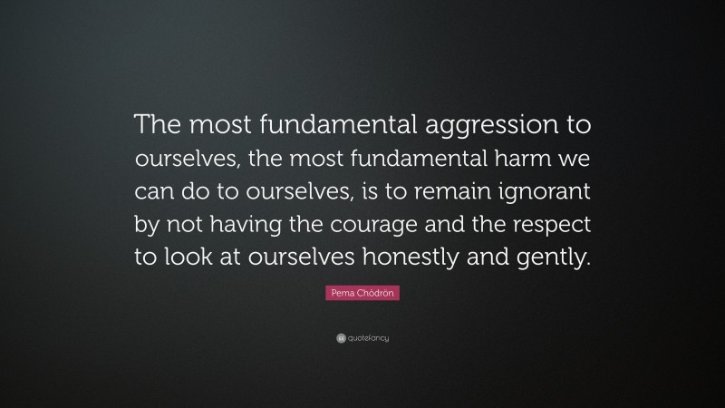 Pema Chödrön Quote: “The most fundamental aggression to ourselves, the most fundamental harm we can do to ourselves, is to remain ignorant by not having the courage and the respect to look at ourselves honestly and gently.”