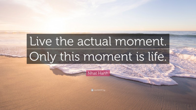 Nhat Hanh Quote: “Live the actual moment. Only this moment is life.”