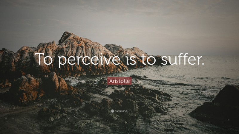 Aristotle Quote: “To perceive is to suffer.”