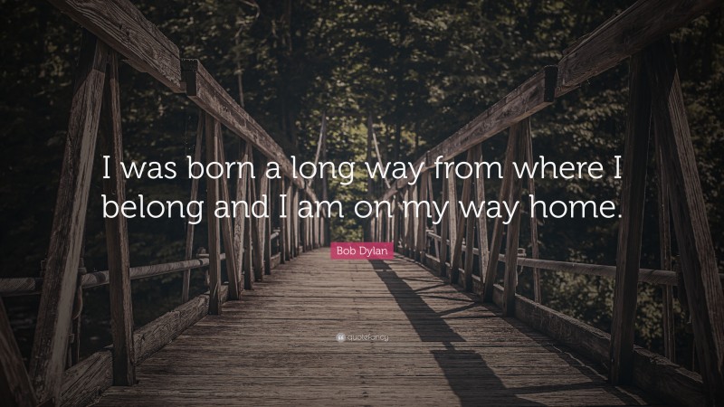 lion a long way home quotes