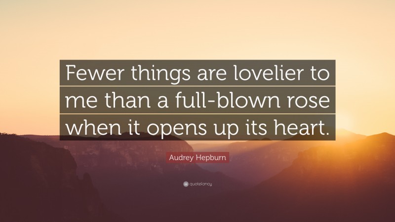 Audrey Hepburn Quote: “Fewer things are lovelier to me than a full-blown rose when it opens up its heart.”