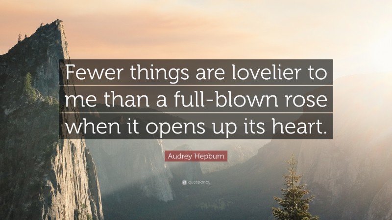 Audrey Hepburn Quote: “Fewer things are lovelier to me than a full-blown rose when it opens up its heart.”
