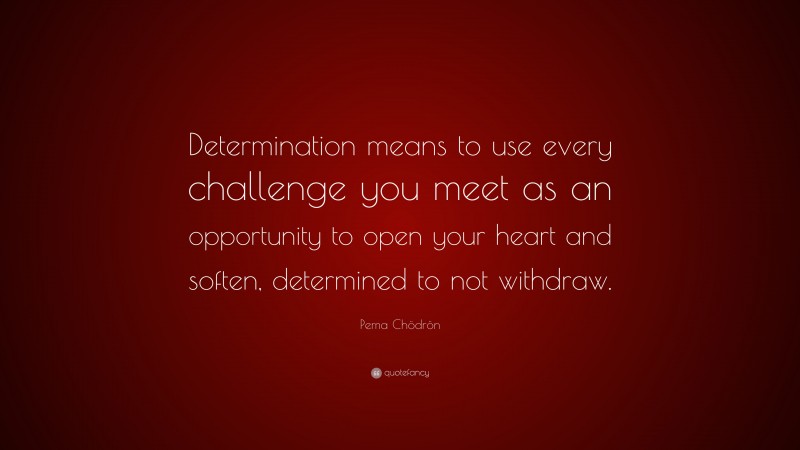 Pema Chödrön Quote: “Determination means to use every challenge you meet as an opportunity to open your heart and soften, determined to not withdraw.”