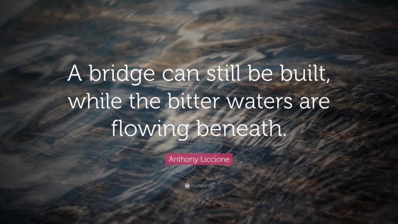 Anthony Liccione Quote: “A bridge can still be built, while the bitter waters are flowing beneath.”