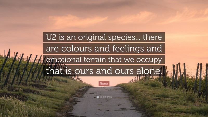 Bono Quote: “U2 is an original species... there are colours and feelings and emotional terrain that we occupy that is ours and ours alone.”