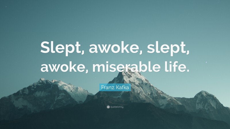 Franz Kafka Quote: “Slept, awoke, slept, awoke, miserable life.”