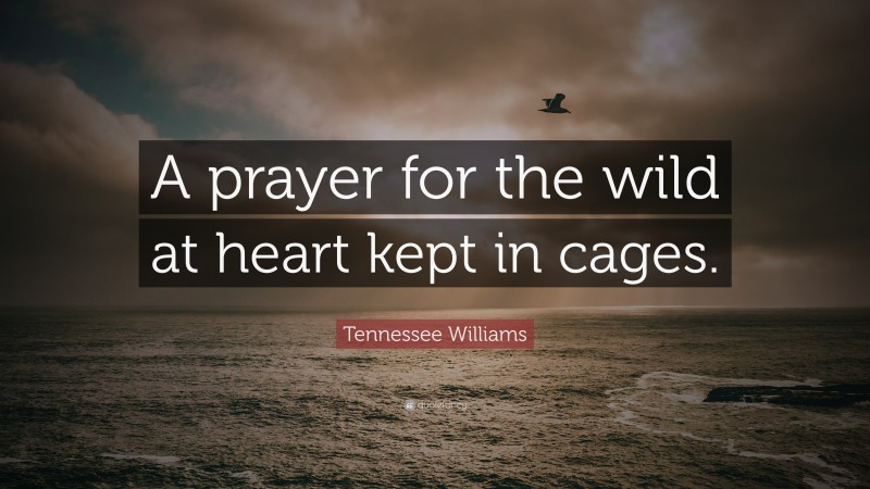 Tennessee Williams Quote: “A prayer for the wild at heart kept in cages.”