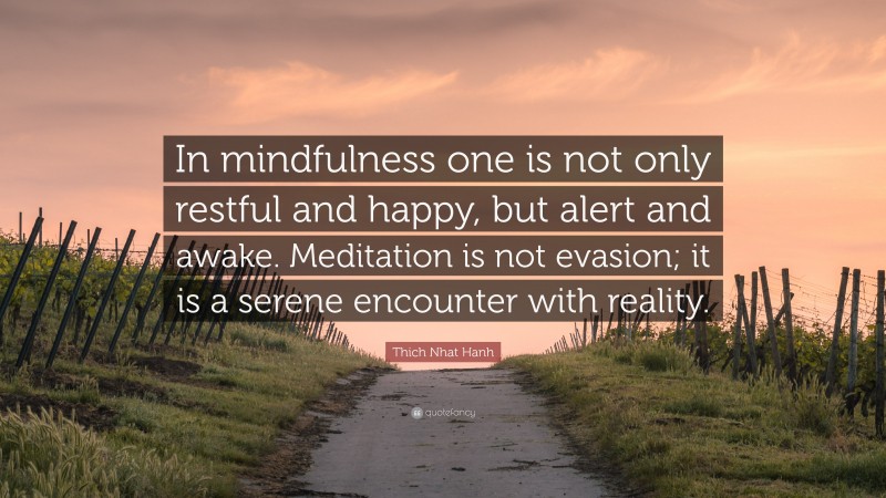 Thich Nhat Hanh Quote: “In mindfulness one is not only restful and happy, but alert and awake. Meditation is not evasion; it is a serene encounter with reality.”