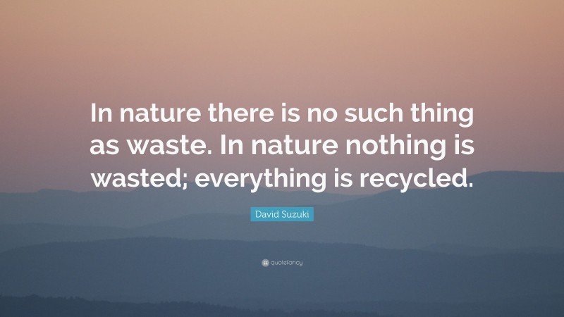 David Suzuki Quote: “In nature there is no such thing as waste. In nature nothing is wasted; everything is recycled.”