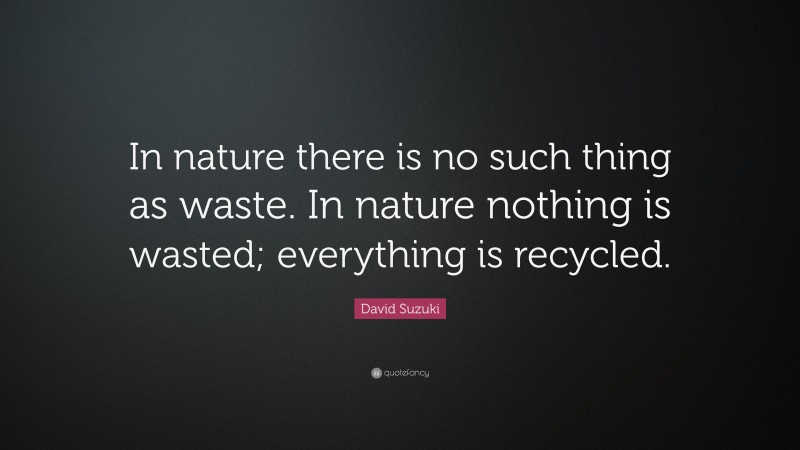 David Suzuki Quote: “In nature there is no such thing as waste. In nature nothing is wasted; everything is recycled.”