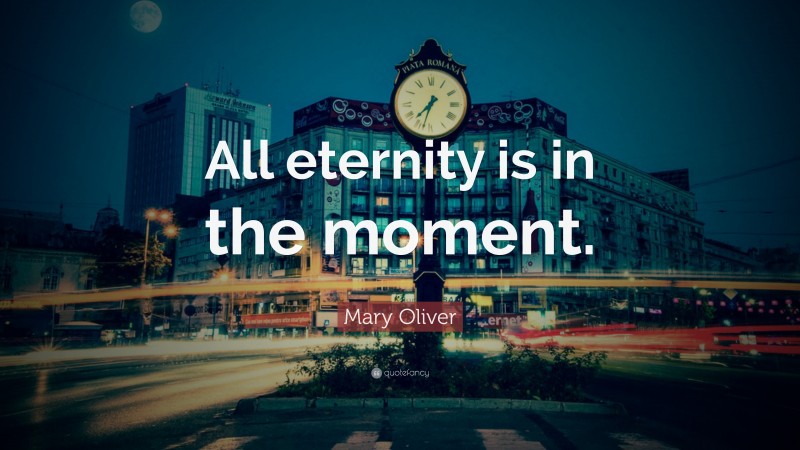 Mary Oliver Quote: “All eternity is in the moment.”