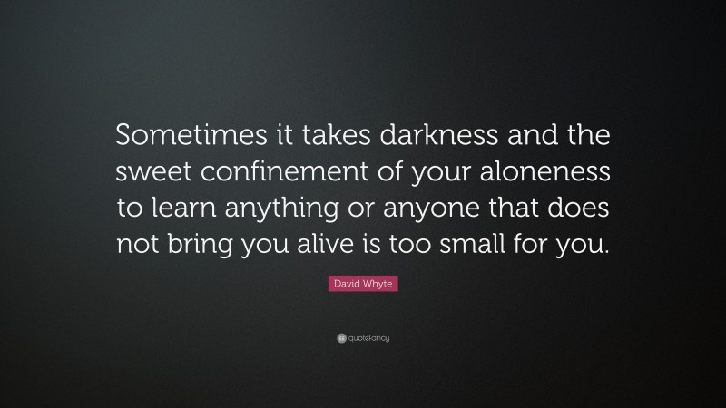 David Whyte Quote: “Sometimes it takes darkness and the sweet confinement of your aloneness to learn anything or anyone that does not bring you alive is too small for you.”