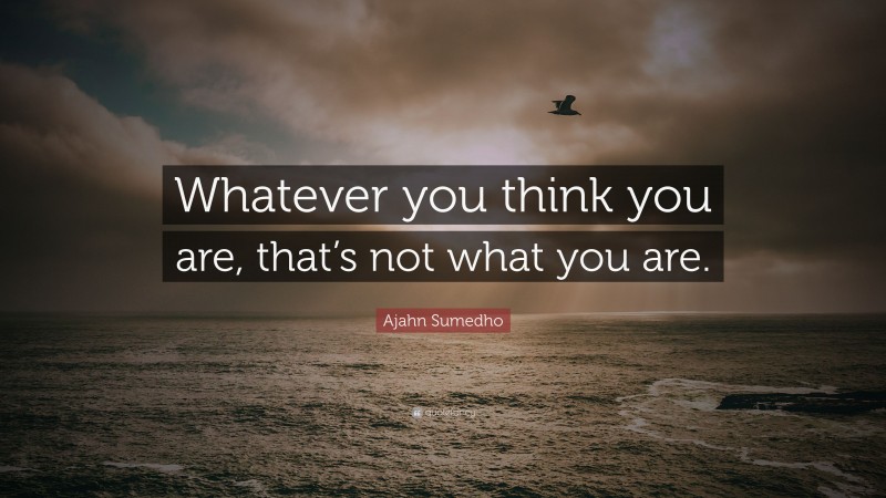 Ajahn Sumedho Quote: “Whatever you think you are, that’s not what you are.”