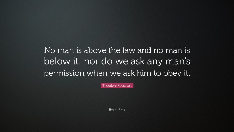 Theodore Roosevelt Quote: “No man is above the law and no man is below ...