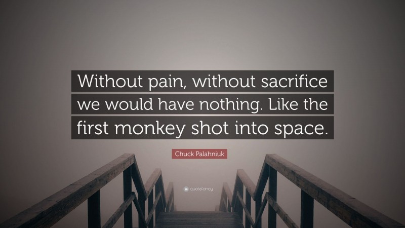 Chuck Palahniuk Quote: “Without pain, without sacrifice we would have nothing. Like the first monkey shot into space.”