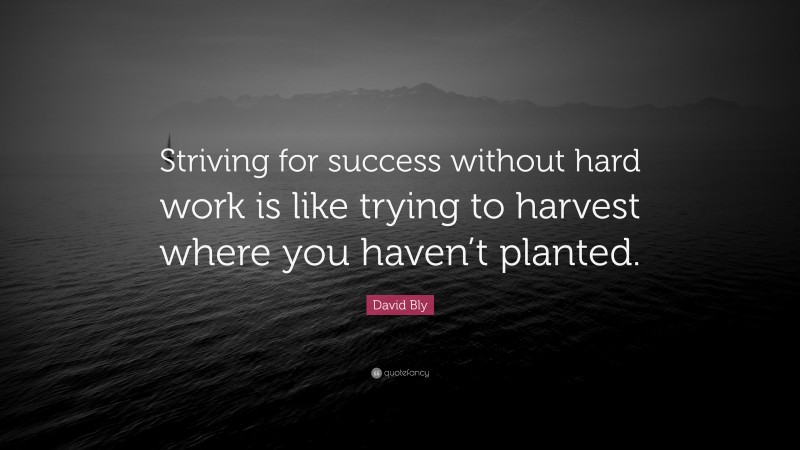 David Bly Quote: “Striving for success without hard work is like trying to harvest where you haven’t planted.”