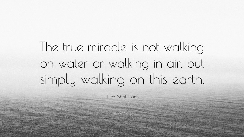 Thich Nhat Hanh Quote: “The true miracle is not walking on water or walking in air, but simply walking on this earth.”